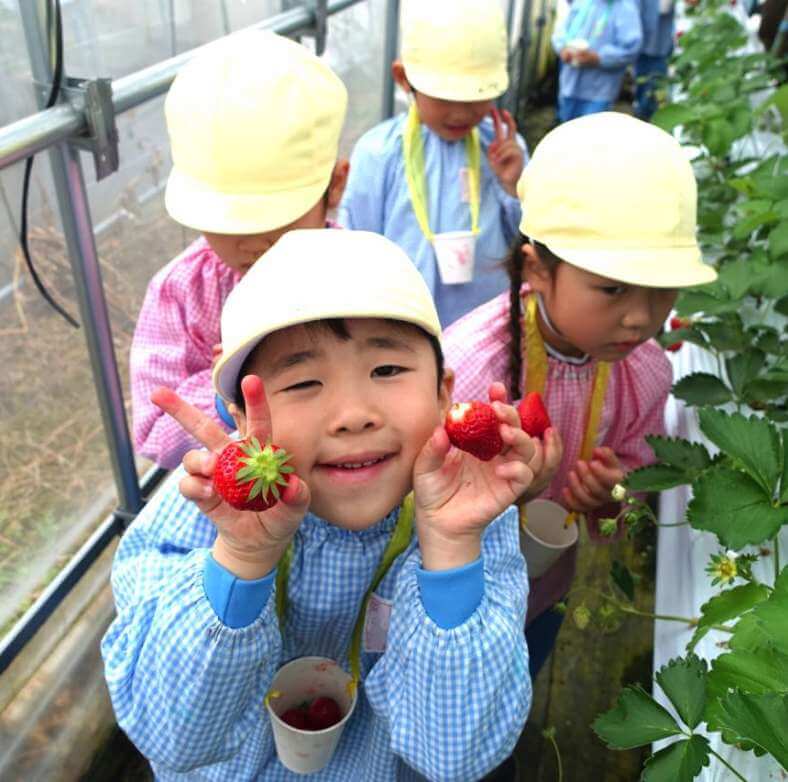 年間行事5月の画像