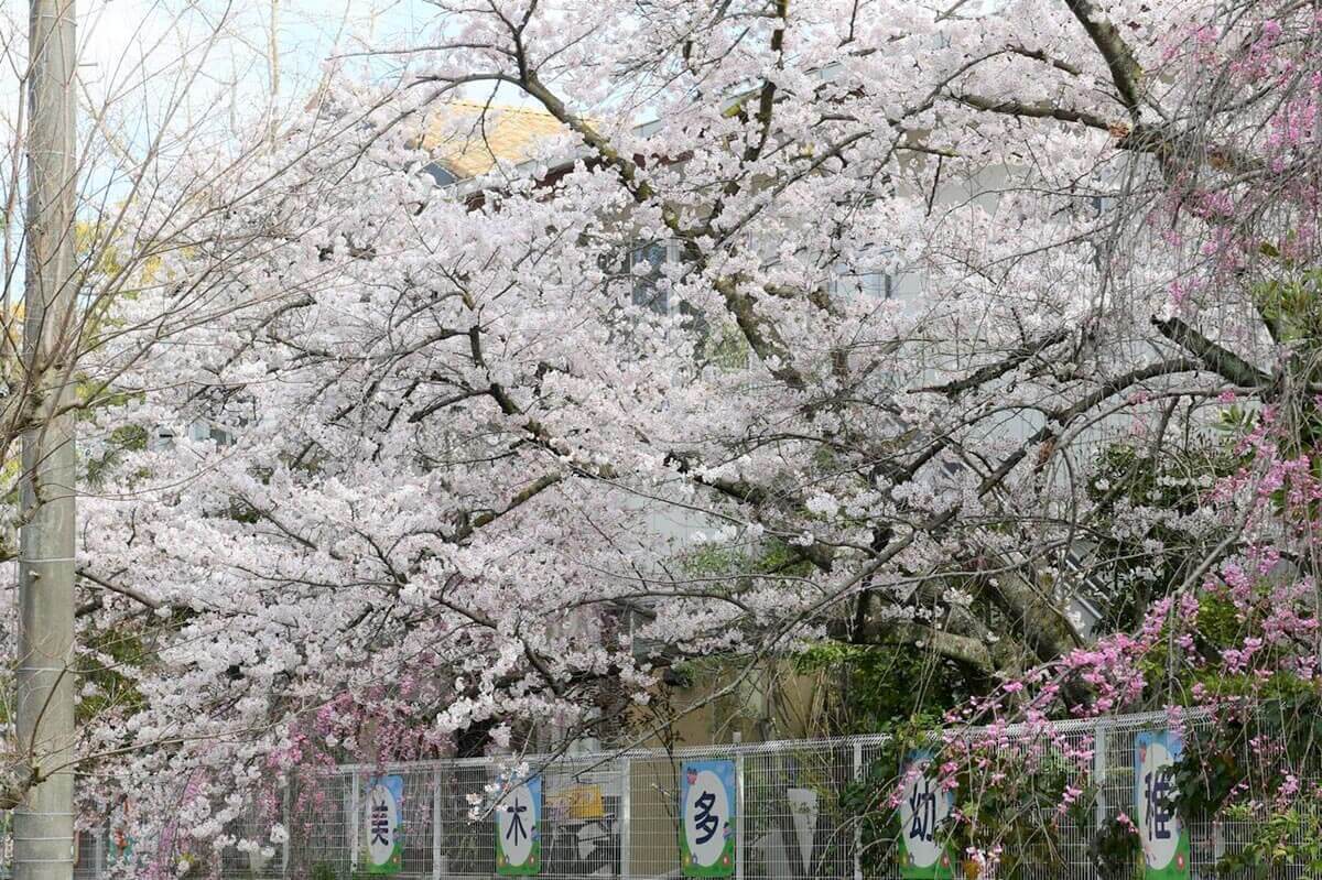 園児募集要項メイン画像
