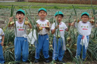 <span class="title">保護中: 玉ねぎ掘り</span>