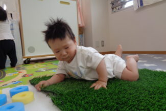 ざらざら・ぶつぶつ・ぎざぎざ（ほし組）