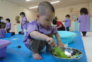小松菜で感触遊び（つき組・ほし組）