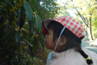 秋の香り（そら組）