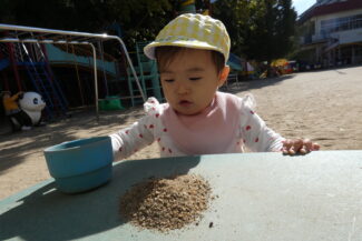 園庭で（つき組）