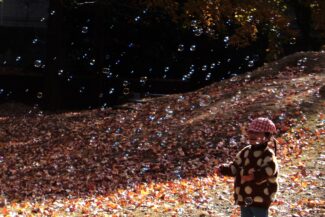 お山の公園（そら組）