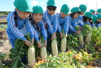 <span class="title">保護中: 大根ひき</span>