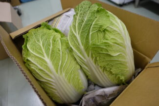 <span class="title">保護中: 大きな白菜</span>