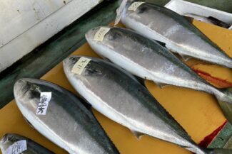 <span class="title">保護中: 氷見の鰤</span>