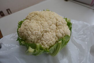 <span class="title">保護中: 年長組のラグビー大会</span>