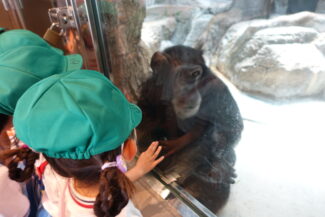 <span class="title">保護中: 天王寺動物園</span>