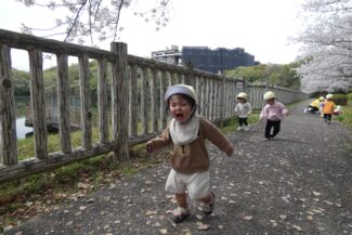 サクラはまだまだきれいでした（つき組）