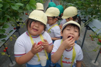 <span class="title">保護中: いちご狩り</span>