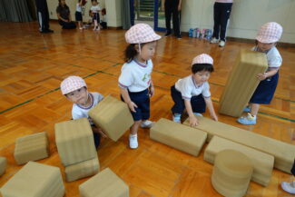 <span class="title">保護中: 積み木あそび</span>