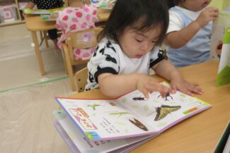 週明け。みんな元気です。（つき組）