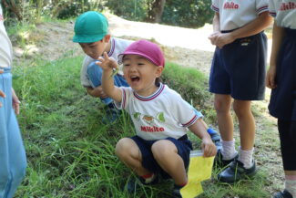 <span class="title">保護中: バッタ激減</span>