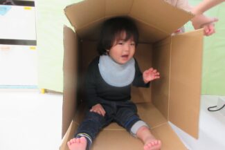 つき組の一日
